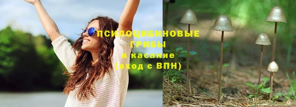 прущие крисы Нязепетровск