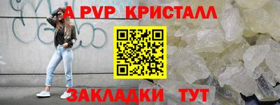 стаф Новодвинск