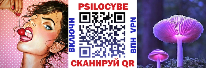 Галлюциногенные грибы Psilocybe  купить наркотики цена  Орск 