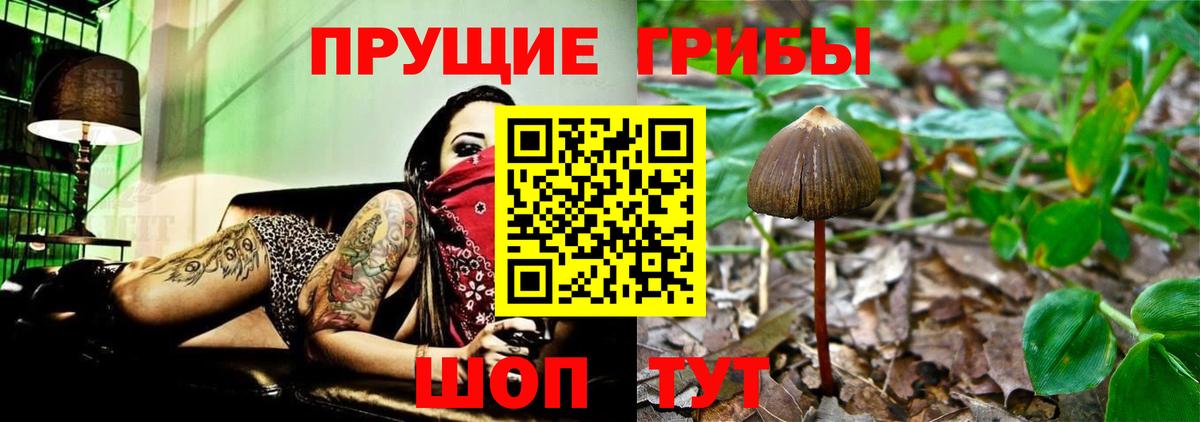 Орск  Псилоцибиновые грибы GOLDEN TEACHER  Вход с VPN 