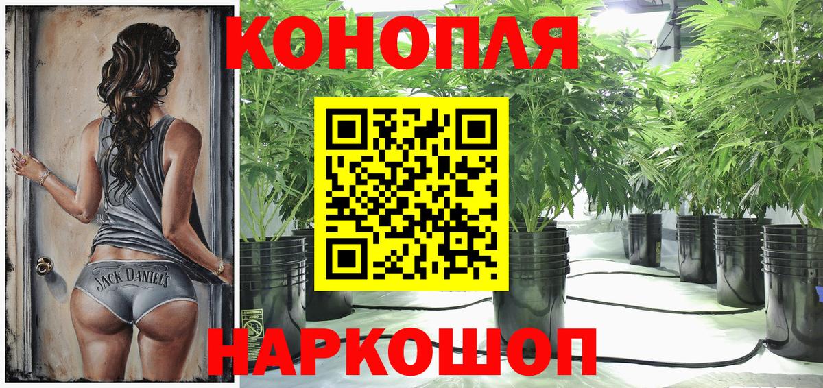 Орск  Марихуана VHQ  Марихуана сатива  Вход с VPN  Бошки марихуана гибрид 